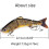 4-segmentiger Hard-Swimbait-Köder, 22,5 cm, 135 g 3