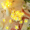 Cherry Blossom LED String Lights Warm White2m or3m 2