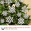 36-Pack White Plastic Hanging Snowflake Ornaments 8