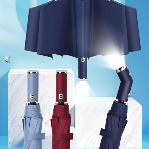 Foldable Automatic Umbrella107cm10-Rib Steel Frame 1