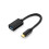 Ugreen USB adapter OTG USB 3.0 to USB-C_Black_Surprise Gift 1
