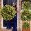 Yellow Spring Summer Wreath 40cm Door Hanging 5