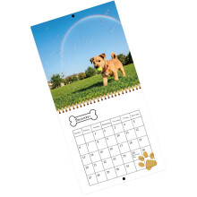Planificateur de calendrier mural sur le thème des chiens 2026,