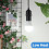 A19 LED Bulb 5000K 1500 lm 13W E26 Base 12-Pack 2