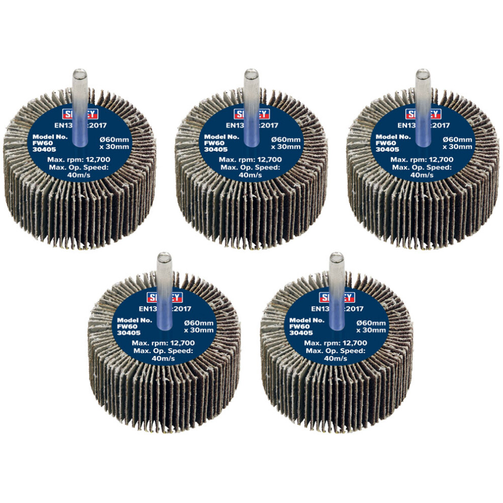Sealey Fw6030405 60 X 30Mm Abrasive Flap Wheel On 6Mm Shaft 40Grit - Pack Of 5 5054630101335