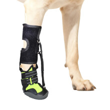 1Pc No Knuckling Boot Brace Dog Dragging Paws-L black green