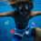 160Pcs Assorted Dive Toys Durable Portable Pool Accessories 11
