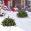 Kerst LED-dennenkrans met rode bessen, 1,80 m 3