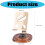 Rotating Phone Stand With Walnuts Base Adjustable Height 3