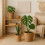 Set de 3 ghivece rotunde - Design rustic din stuf 3