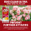 BugClear Ultra Vine Weevil Control Spray 480ml 4