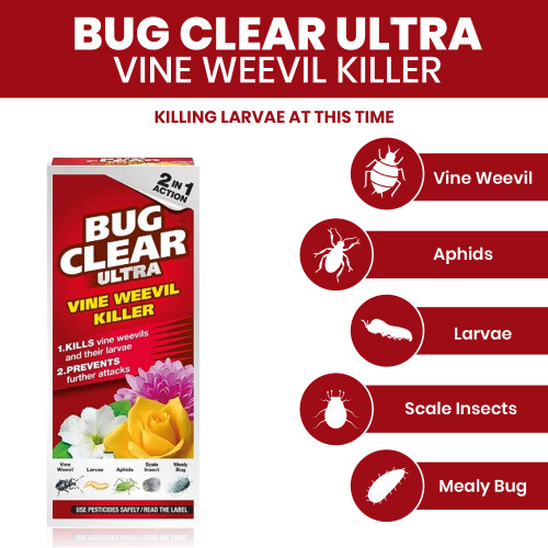 BugClear Ultra Vine Weevil Control Spray 480ml 2