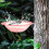 Bird Bath Tray Tree-Mounted 9.2 in x 2.7 in 4