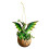 Dragon Acrylic Christmas Ornament 8cm Red 1
