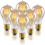 A19 Edison Bulbs Amber Warm Glow Dimmable E26 6 Pack 1