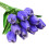 10pcs Realistic Artificial Tulips PU 34cm Purple 1
