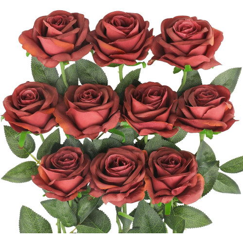 10pcs Realistic Silk Black Roses with Long Stems