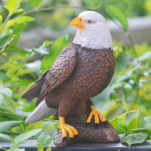 Resin Eagle Statue for Indoor Outdoor Decoration