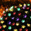 Solar Flower String Lights, 50 LED, 23ft, Waterproof 1