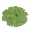 Set de table de cuisine en polyester, forme de fleur, 1 pièce 2