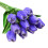 10pcs Realistic Artificial Tulips PU 34cm Purple 5