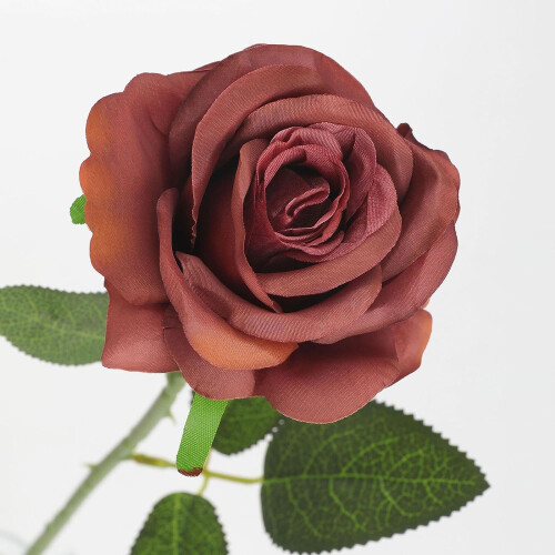 10pcs Realistic Silk Black Roses with Long Stems 2