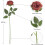 10pcs Realistic Silk Black Roses with Long Stems 4