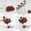 10pcs Realistic Silk Black Roses with Long Stems 5