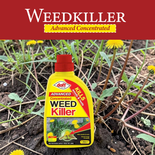 Doff Doff Advanced Weedkiller Concentrate Powerful Glyphosate Based Root Killer 1L 2