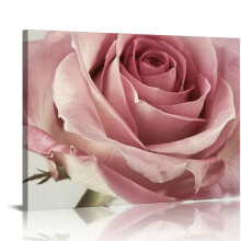 Quadro su tela con primo piano di una rosa rosa, 24x36 pollici