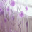 Voile Sheer Curtain Panel 200 x 100 cm Purple 1