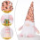 LED Light Swedish Tomte Gnome Ornament 4x12in 3