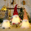 LED Light Swedish Tomte Gnome Ornament 4x12in 4