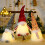 LED Light Swedish Tomte Gnome Ornament 4x12in 5