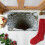 Tapis 3D Visual Well 60x90cm1 pièce non absorbant doux 5