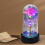 Galaxy Rose in Glass Dome with LED Lights 4