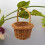 Mini Woven Flower Basket 8 x 5 cm White Plastic Wedding 5