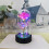 Galaxy Rose in Glass Dome with LED Lights 5