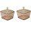 Acrylic Divided Snack Box with Lid – 2 pcs, 2" x 4" 2