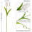 White Artificial Tulips Real-Touch PU 13.2in Bouquet 2