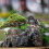 Chinese-Style Mini Pavilion Ornament, Plastic, 3.1 cm 5