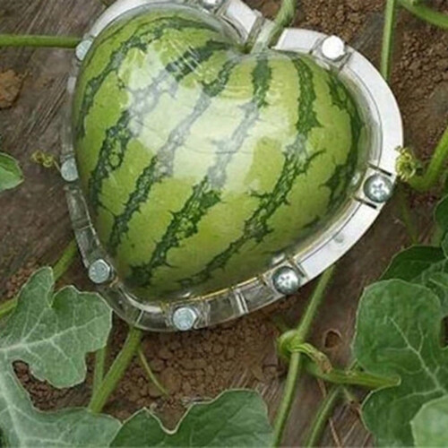 Heart-Shaped Watermelon Mould Polycarbonate 17 cm