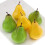 Set di pere artificiali modello – Giallo-verde realistico, 6 pezzi 1