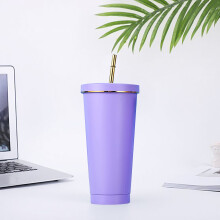 Double-Layer Stainless Steel Insulated Tumbler with Straw