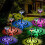 Solar Pathway Lights 6 Pack – Dual Mode LED, Waterproof 1