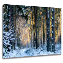 Winter Forest Canvas Wall Art 16x12 in Framed