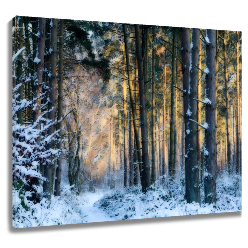 Winter Forest Canvas Wall Art 16x12 in Framed