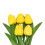 Real Touch Artificial Tulips – 10 pcs, White to Peach Pink 2