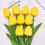 Real Touch Artificial Tulips – 10 pcs, White to Peach Pink 3