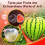 Heart-Shaped Watermelon Mould Polycarbonate 17 cm 5